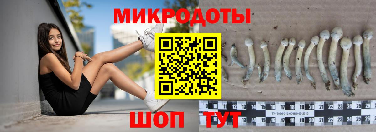 Галлюциногенные грибы мицелий  Вход с VPN  что такое наркотик  Ростов Великий 